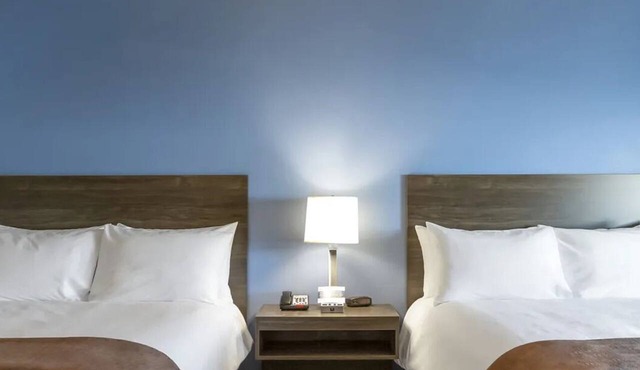 2 Affordable Units Near Vancouver Mall | Pet-Friendly, Free Parking in Vancouver