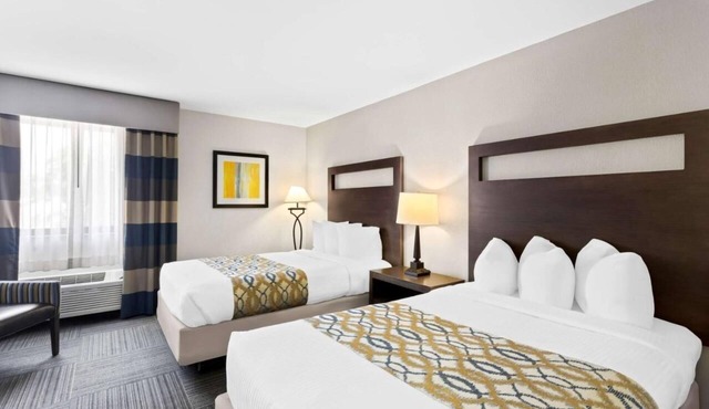 2 Pet-Friendly Units Near Downtown Naperville | Free Parking and Breakfast! in Naperville