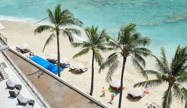 Aloha from Waikiki! 3 Pet-friendly Units for 12, Onsite Pool! in Honolulu