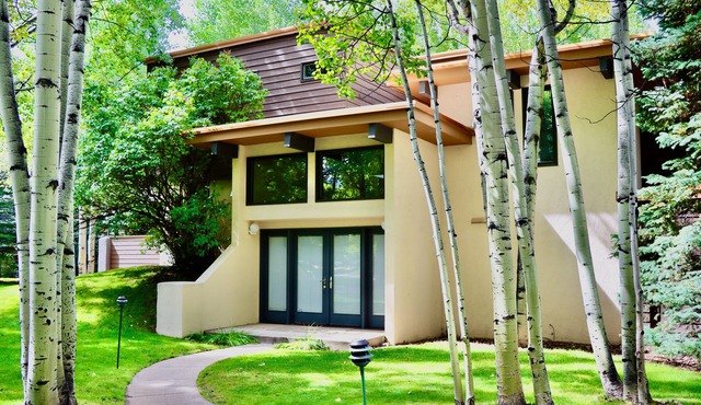 Aspen West End Sanctuary 4878 sf. Permit #071906 in Aspen