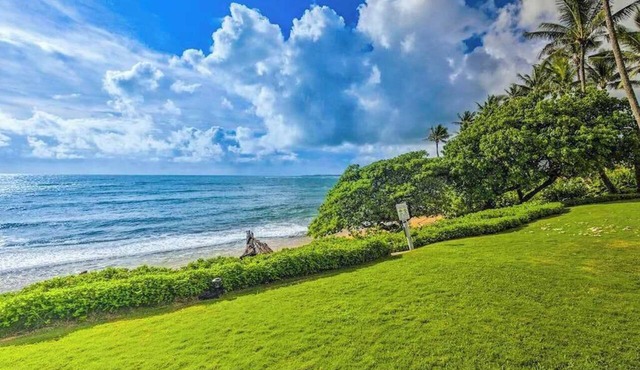 August Sale! Wake to Ocean Views in This Breezy Kapaa Beachfront Studio