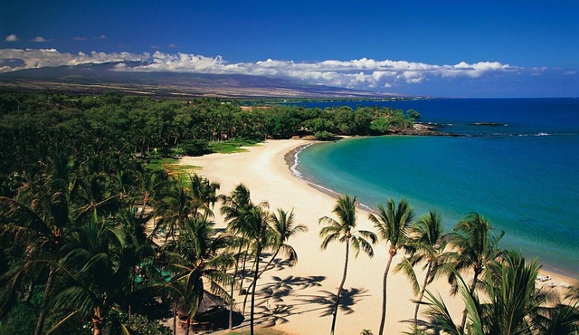 BEST PLACE TO STAY! Close to Town and World Class Beaches!