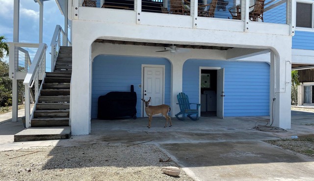 Big Pine Key House 4/2 with 75’ dock and a stunning bay view. in Big Pine Key