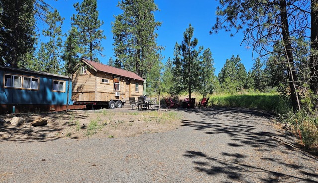 Black Bear Bungalow tiny home 5 min to airport in Spokane
