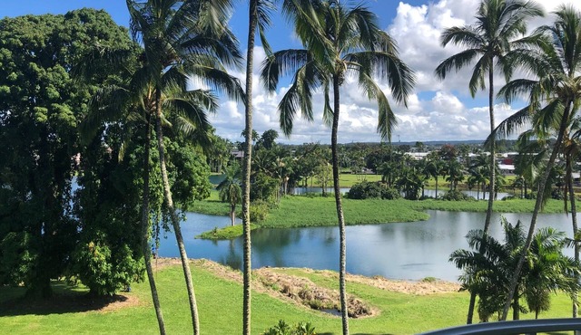 Breathtaking Views - 2 Bd Condo w/Pool, A/C, WiFi, Parking