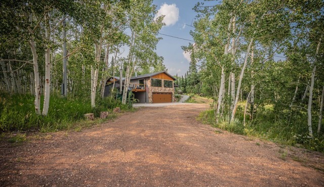 Centennial Mountain Retreat in Centennial