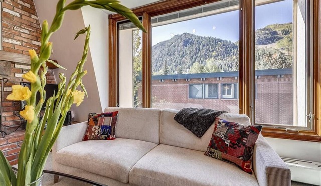 Cozy 2BR Condo w/Mountain Views & Hot Tub in Aspen