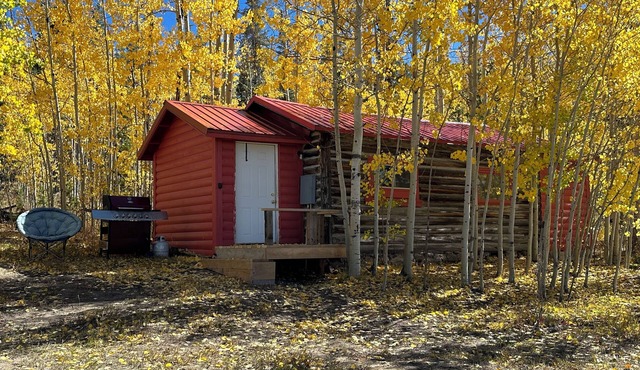 Cozy cabin in charming CO mountains near the WY boarder in Walden