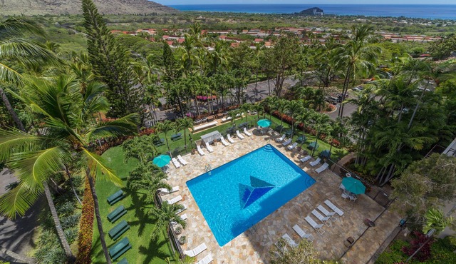 Elite Condo with Spectacular VIEWS ❤️