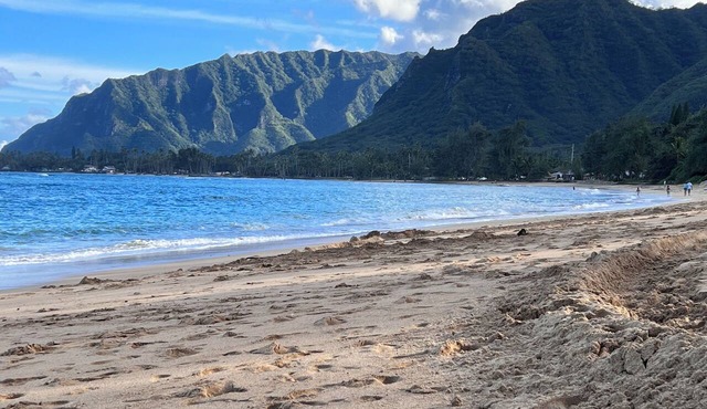 Entire House, Ocean front, White Sand Beach across the street. in Hauula
