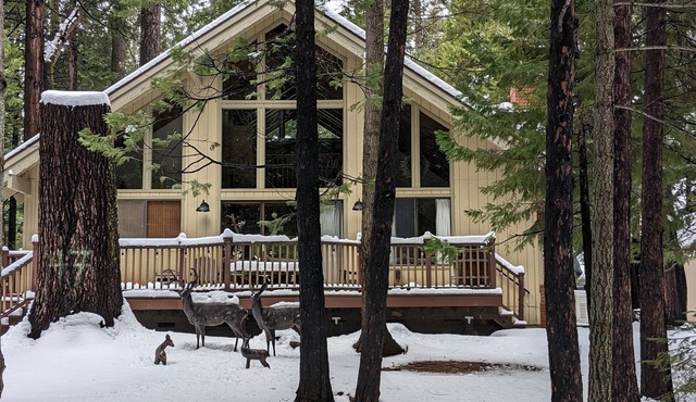 Evergreen Pinecone Cottage Hot Tub Firepit, Espresso, Couples Love It! in Dorrington