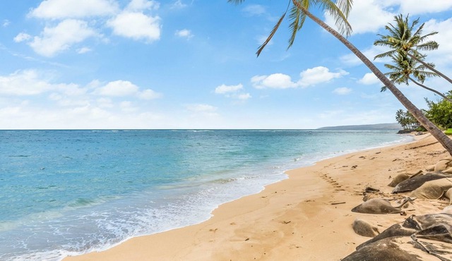Exquisite Mokuleia Beachside Cottage