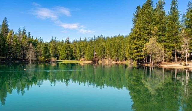 Family Cabin Near Murphys | Lake, Hiking & Stargazing in Arnold