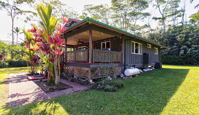 FREE Cleaning at this Hawaiian Paradise Home