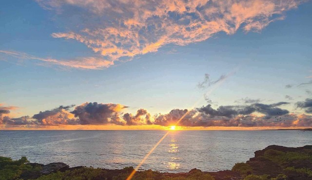 Hale Kailani - Perfect Oceanfront Cottage for Relaxing Stays - Sunrise Views