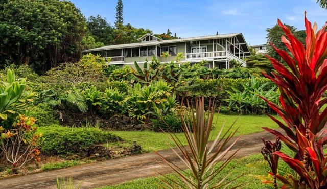 🏖️Holualoa Estate w/Ocean Views + 1.5 Acres
