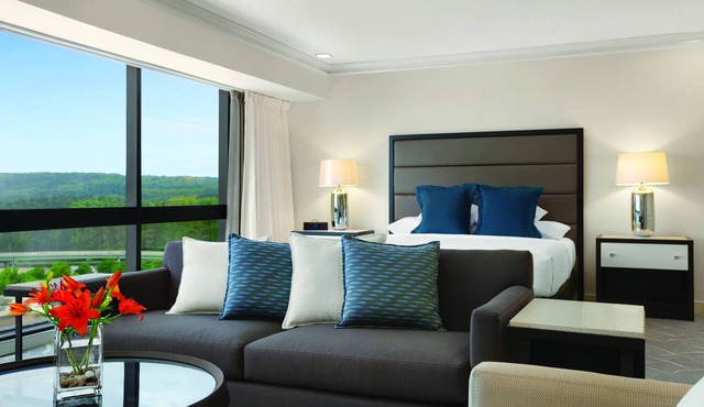 Hyatt Regency Birmingham-The Wynfrey Hotel in Birmingham