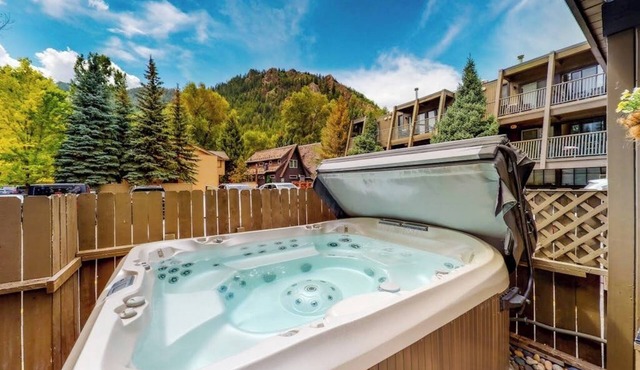 Main St. gem - pool & hot tub - walk to lifts, dog-friendly, third floor in Aspen