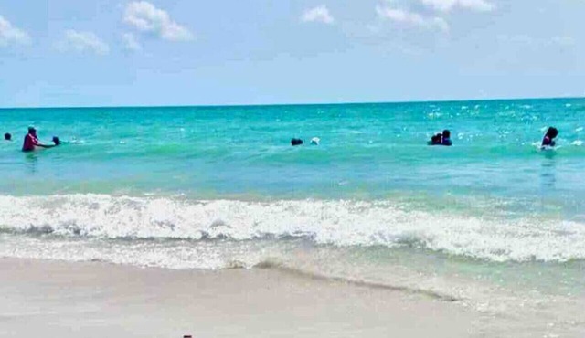 Naples Oasis |Heated Pool |3BR /2 BA |4miles to Beach | Dog Friendly in Naples