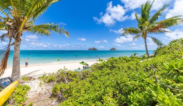 NEW! Kai Hale - Steps to beach, AC