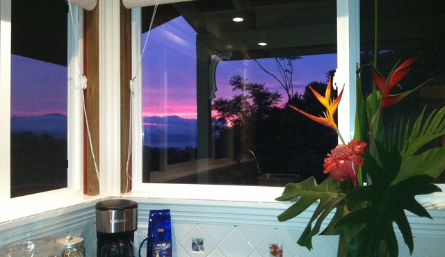 Ocean View Cabin located on Organic Coffee Farm with Hiking Trails