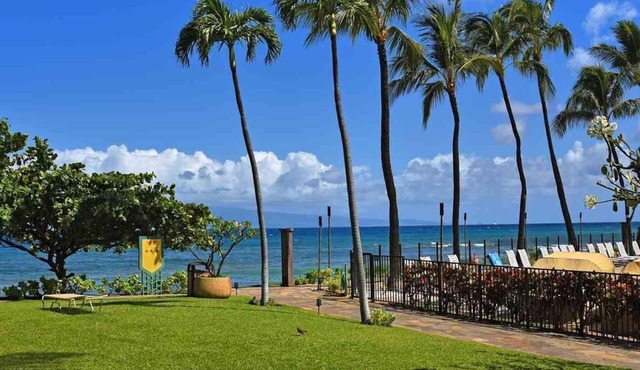 Oceanfront at Ka'anapali Shores. Step right out to the Ocean!