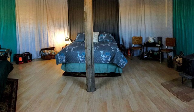 Romantic Camping Yurt on Camel Farm near Alamosa, Colorado in Capulin