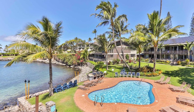 Snorkel with sea turtles! Ocean Front & Pool!