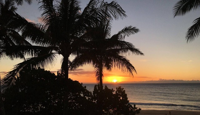 Summer Special of Guest Fav @ TBR: Fully Renovated 1BR/1BA AC WIFI BBQ Pools Bch