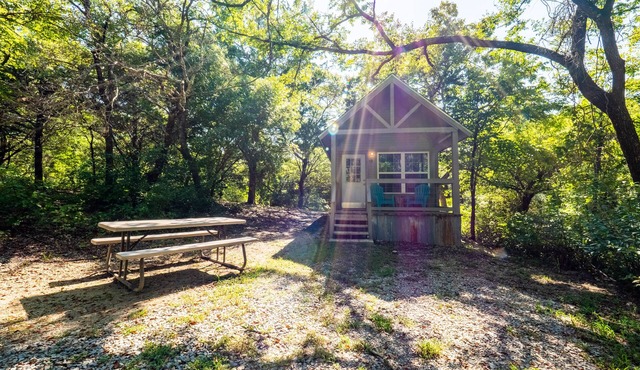 Tiny House Cabins in Whitewright