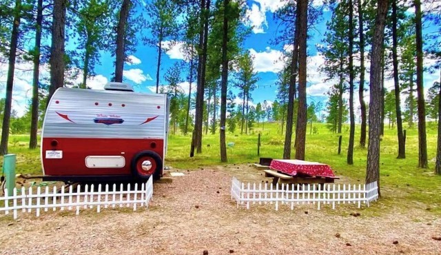 Tiny Retro Camper in Custer