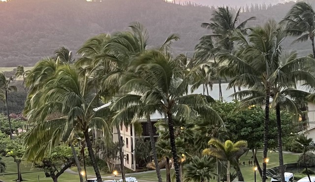 TOP Floor- Resort Room on Beach with 4 Pools, AC, Restaurants, No Resort Fee!