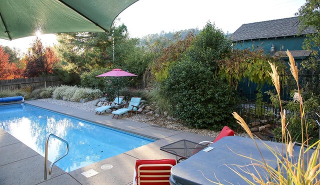 Unique Property: pool, hot tub, gardens, koi ponds, game building! in Murphys