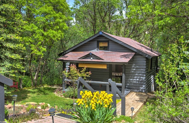 A hidden gem! Cabin nestled in the trees in Glenwood Springs. in Glenwood Springs