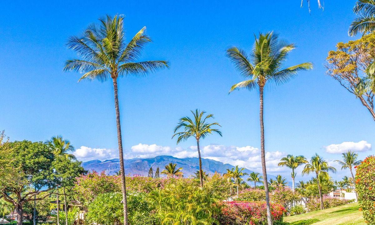 Wailea Condo | Spacious 2 bedroom 2 bath Palms at Wailea 1703