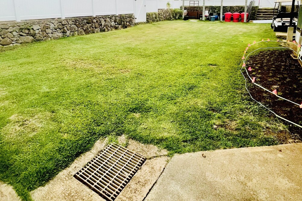 Photo of Outdoor in Ka'a'awa