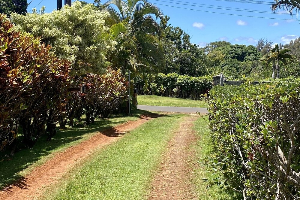 Photo of Outdoor in Pupukea
