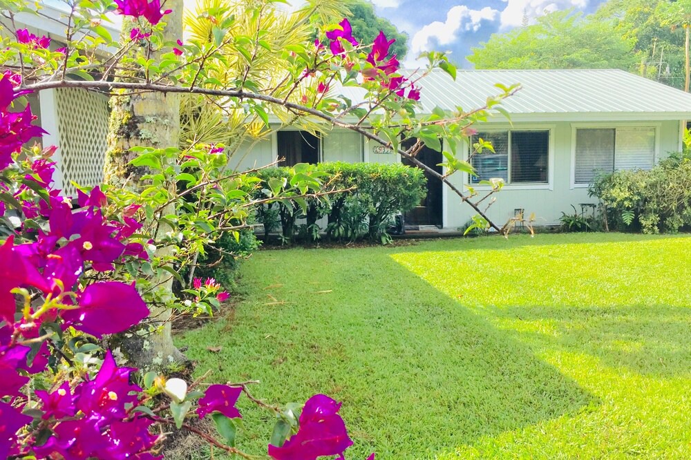 Photo of Outdoor in Kapoho