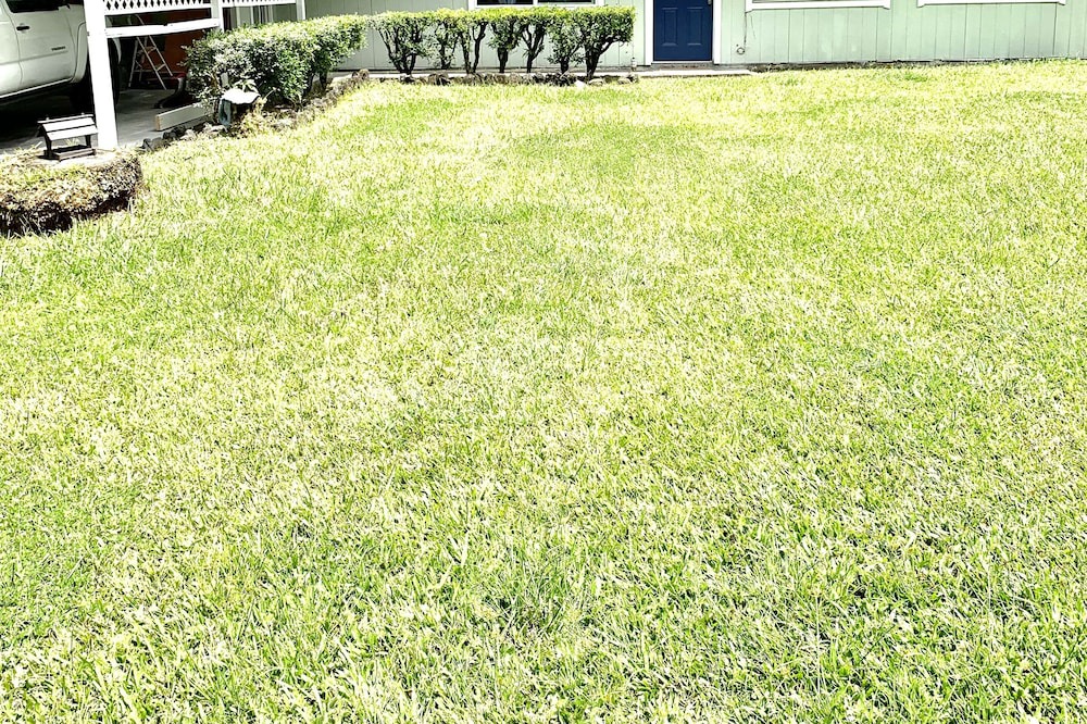 Photo of Outdoor in Kapoho