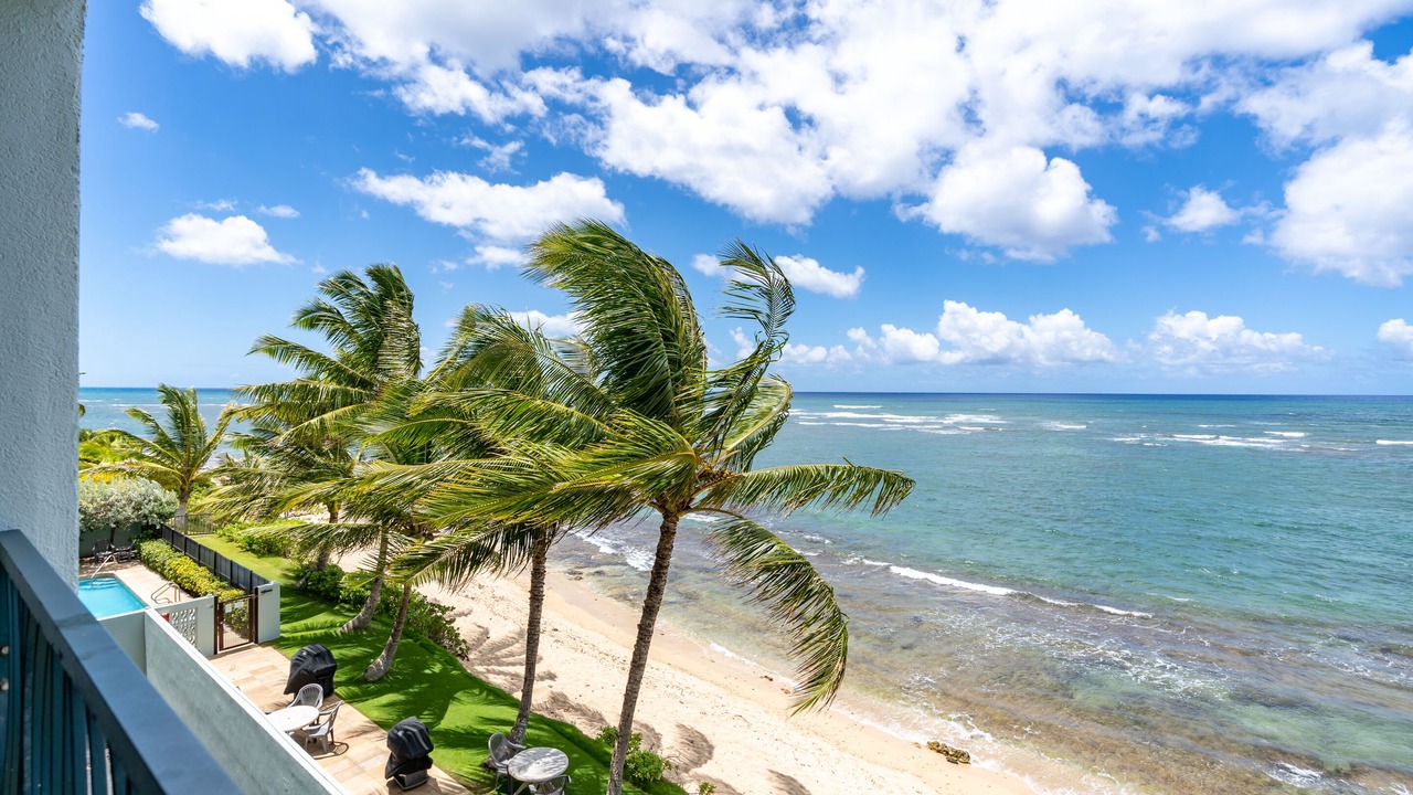 Photo of Others in Mokuleia