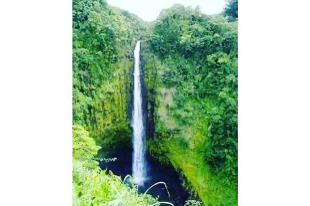 Photo of Outdoor in Hakalau