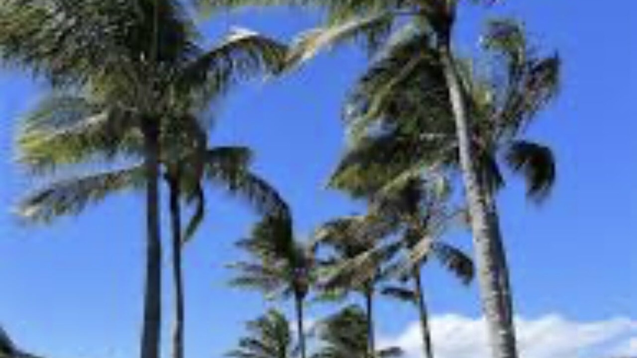 Photo of Others in Portlock