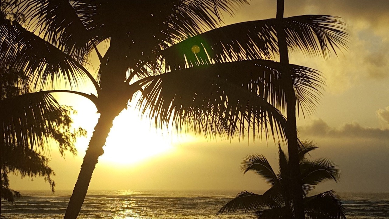 Photo of Others in Kapaa