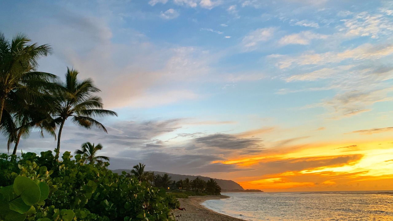 Photo of Others in Mokuleia
