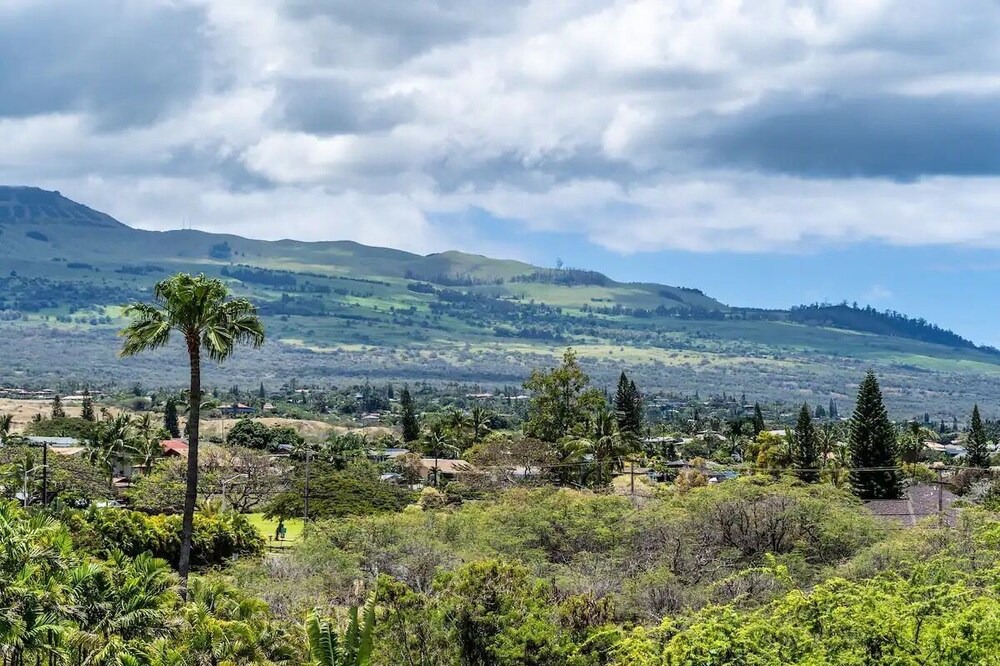 Photo of Outdoor in Kihei
