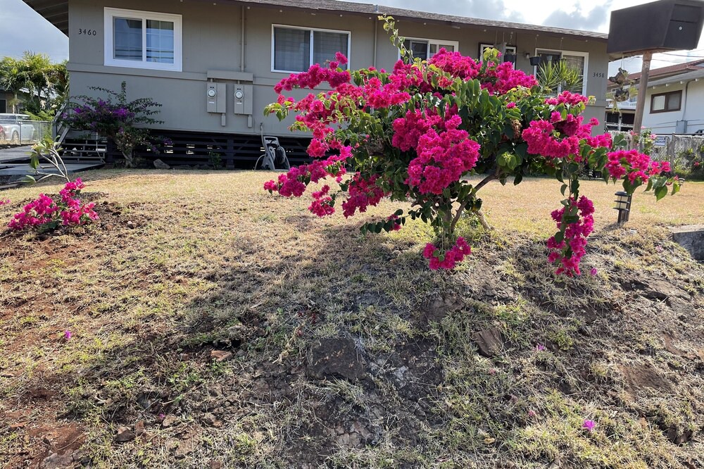 Photo of Outdoor in Western Honolulu