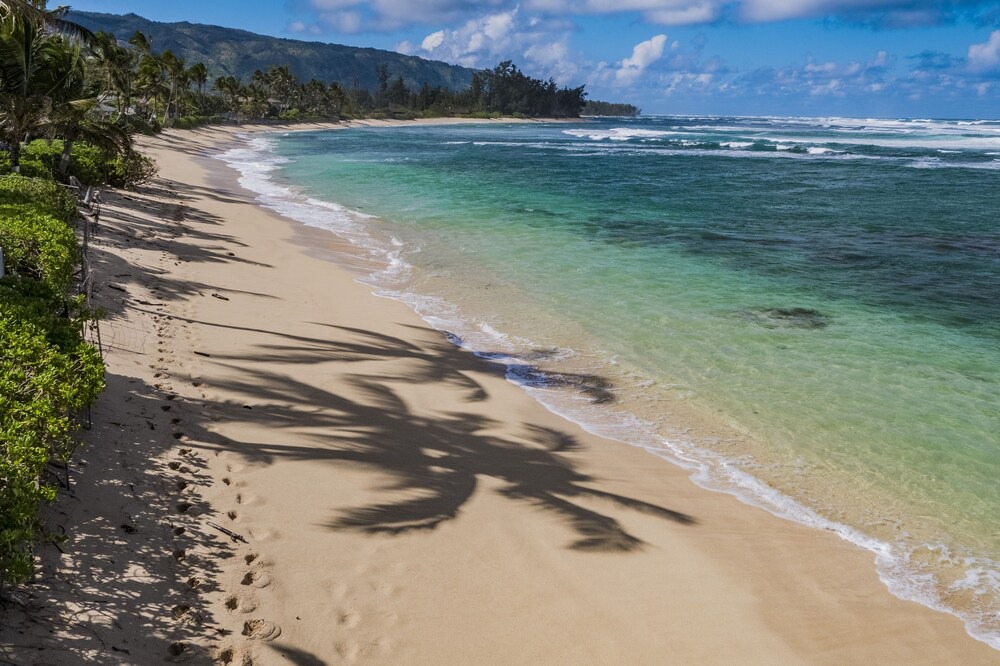 Photo of Others in Mokuleia