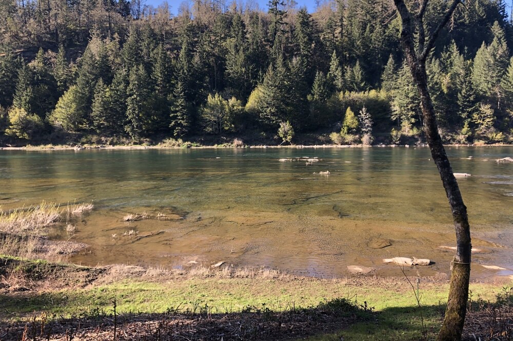 Photo of Others in Umpqua
