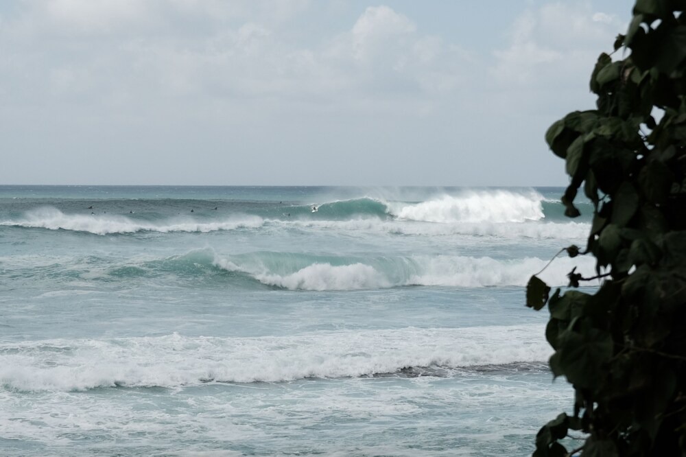 Photo of Others in Pupukea