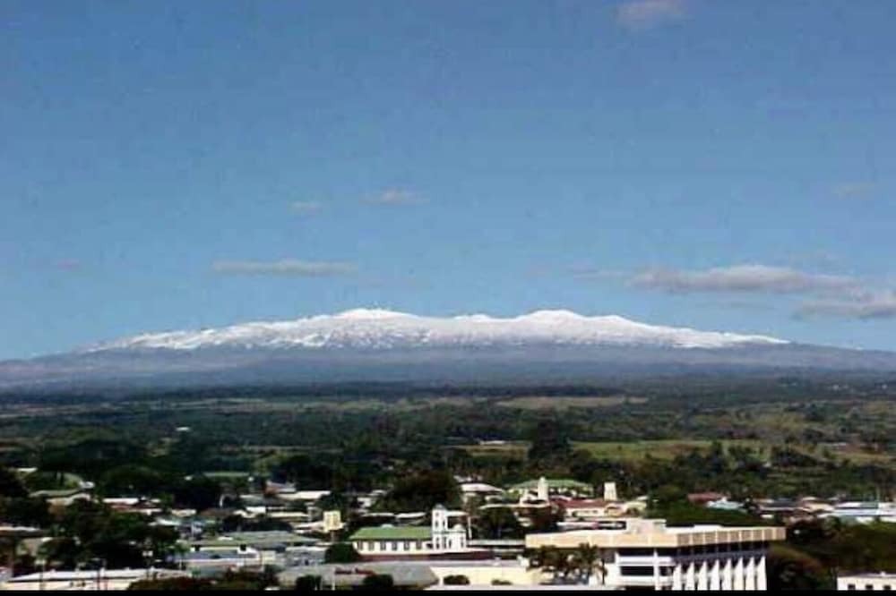 Photo of Others in Hilo